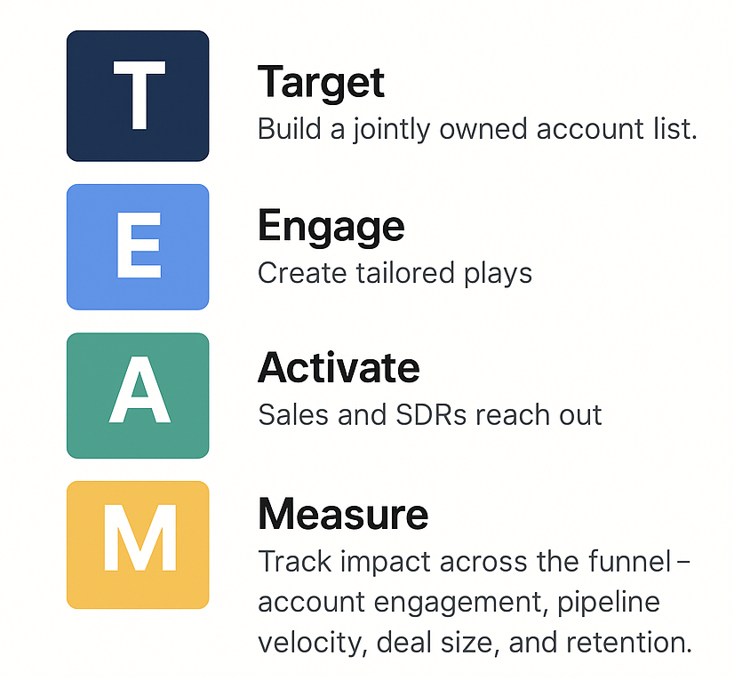 TEAM ABM Framework